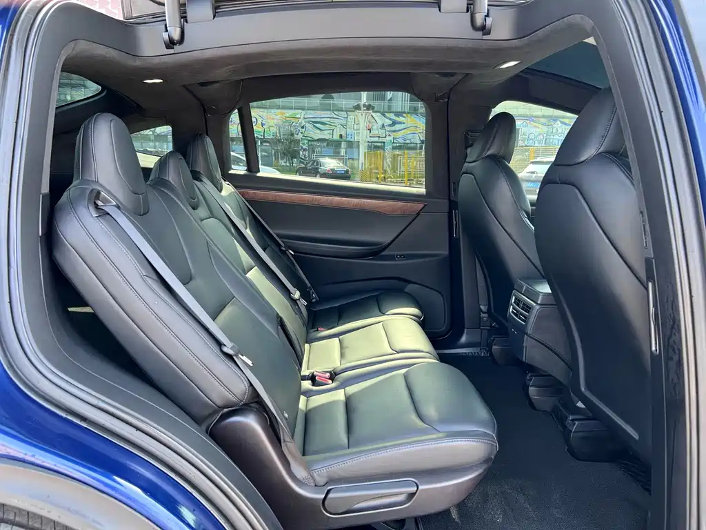 Tesla Model X — миниатюра 11