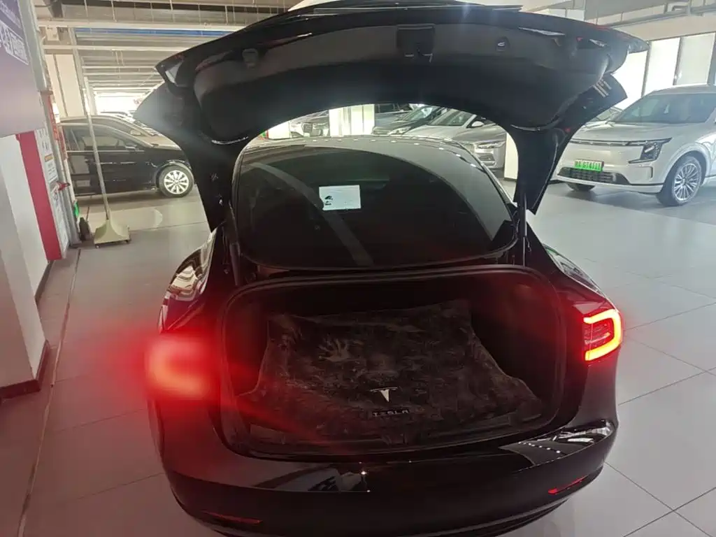 Tesla Model 3 — миниатюра 19