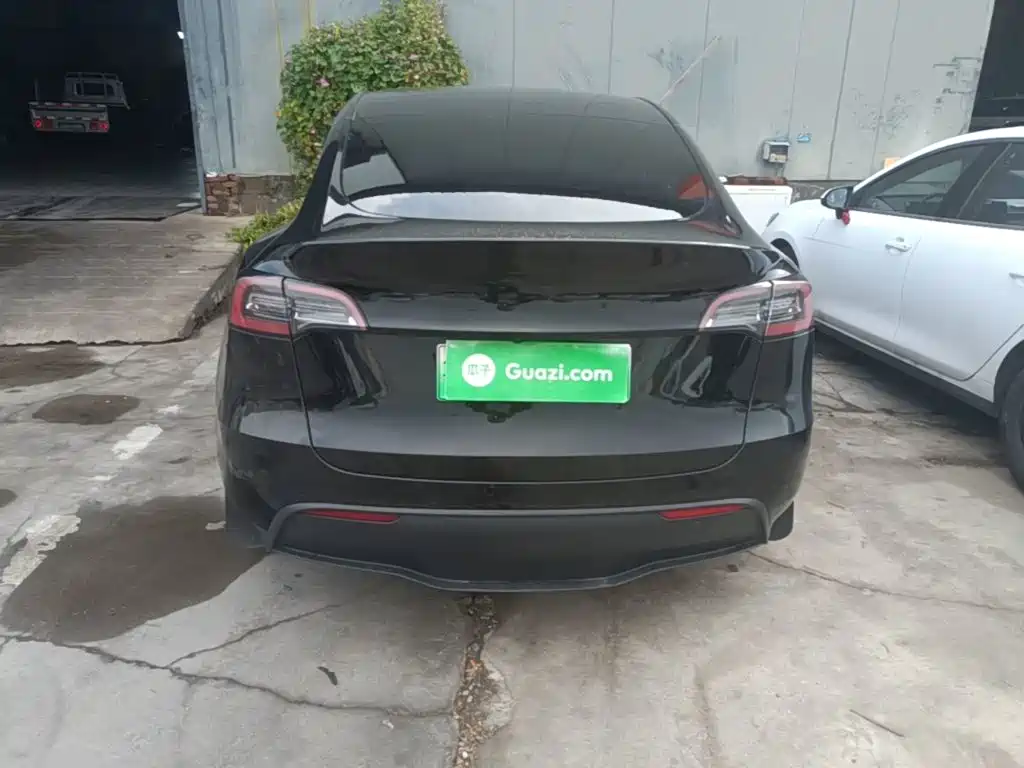 Tesla Model Y — миниатюра 6