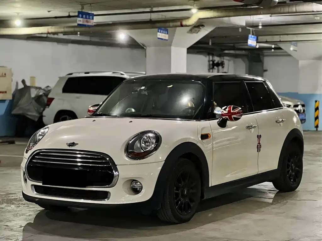 Mini Mini 2018