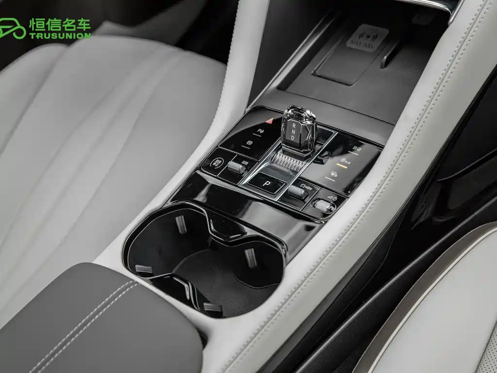BYD PLUS New Energy — миниатюра 18
