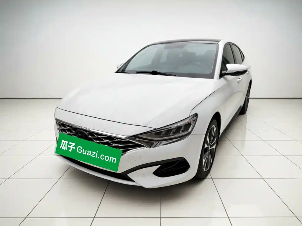 Hyundai Fista
