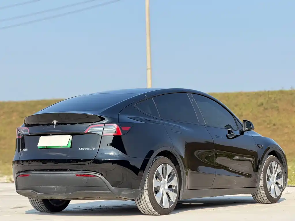 Tesla Model Y — миниатюра 8