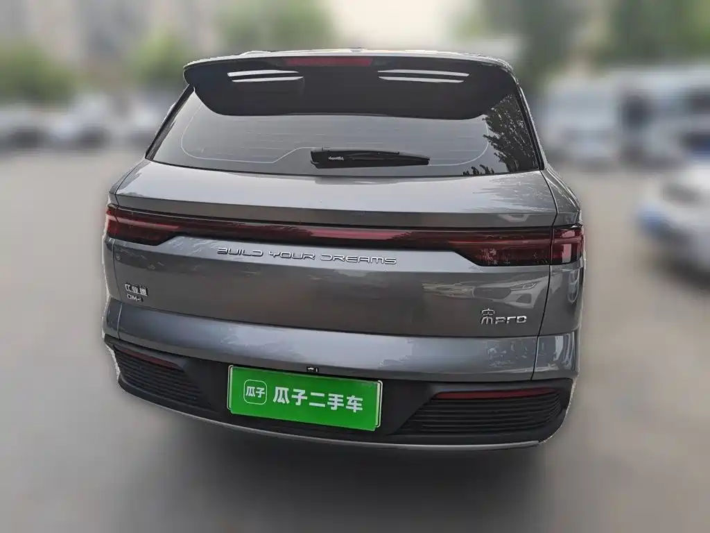 BYD Pro New Energy — миниатюра 3