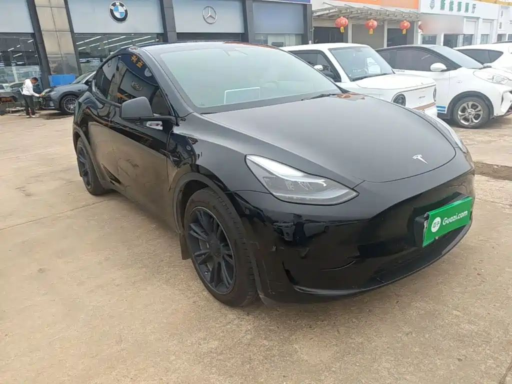 Tesla Model Y — миниатюра 4