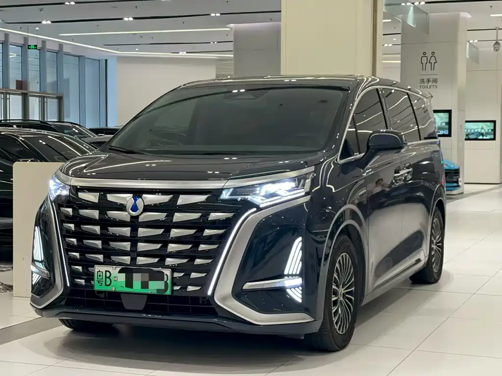 2023 Denza D9 - zdjęcie 1 z 18
