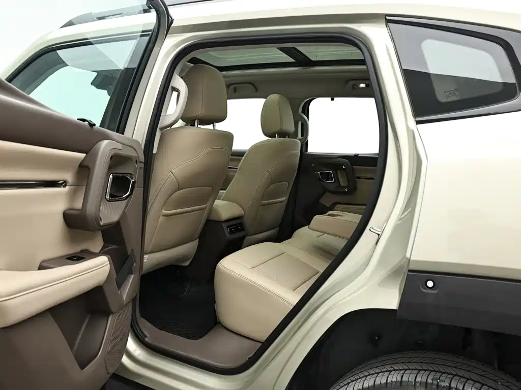 Haval Big Dog PLUS New Energy — миниатюра 14
