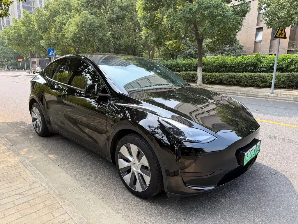 Tesla Model Y — миниатюра 3