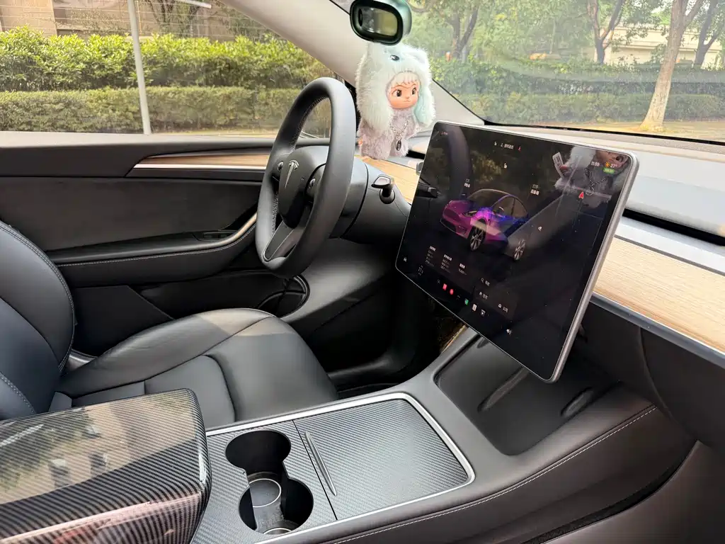 Tesla Model Y — миниатюра 16