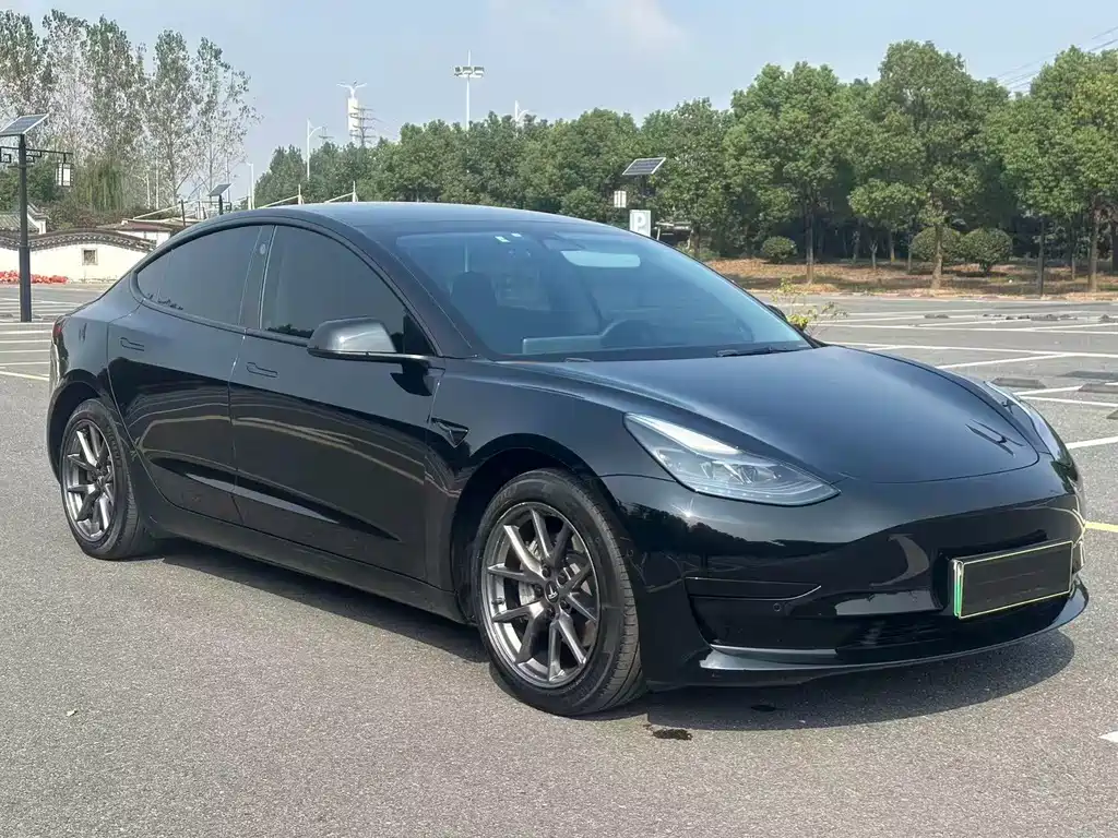 Tesla Model 3 — миниатюра 3