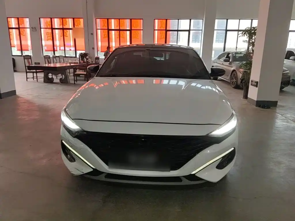 Hyundai Fista — миниатюра 3