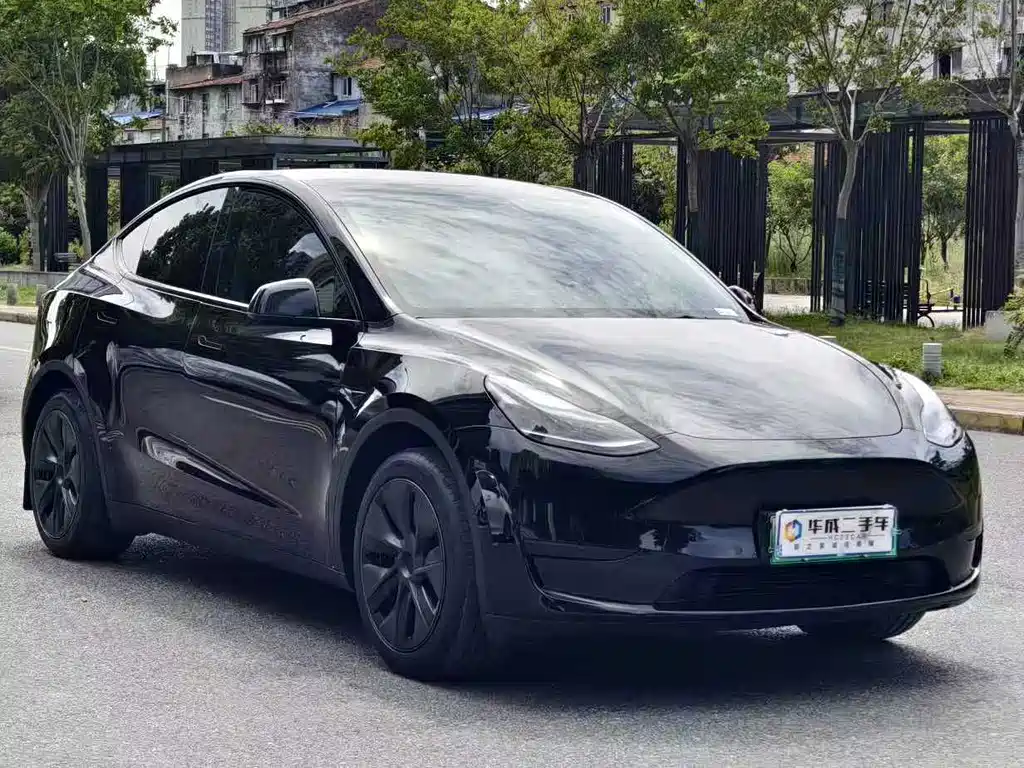 Tesla Model Y — миниатюра 3