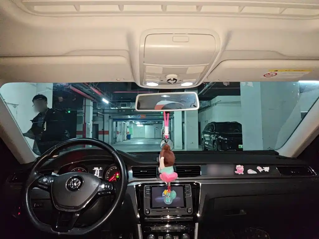 Volkswagen Passat — миниатюра 10