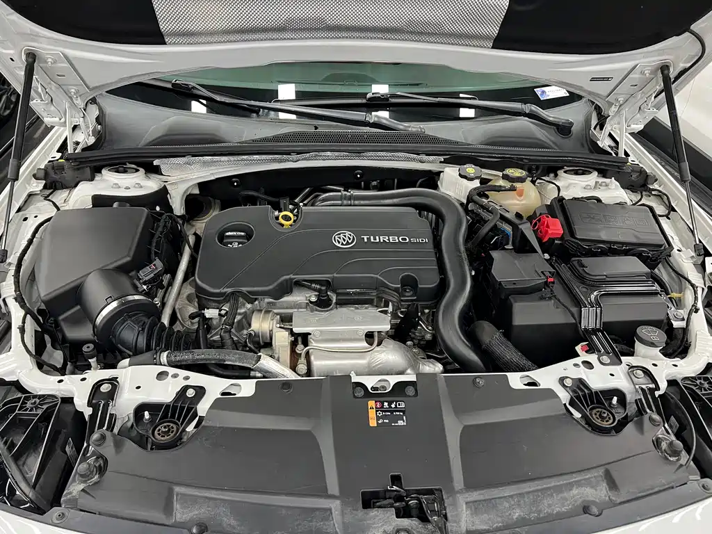 Buick Regal — миниатюра 13