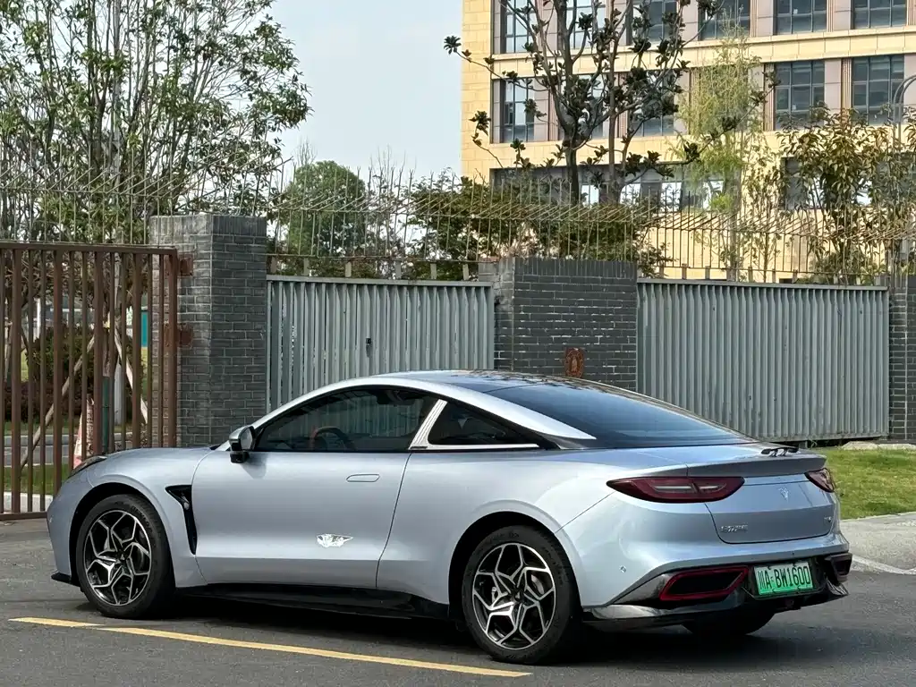Neta Neta GT — миниатюра 16