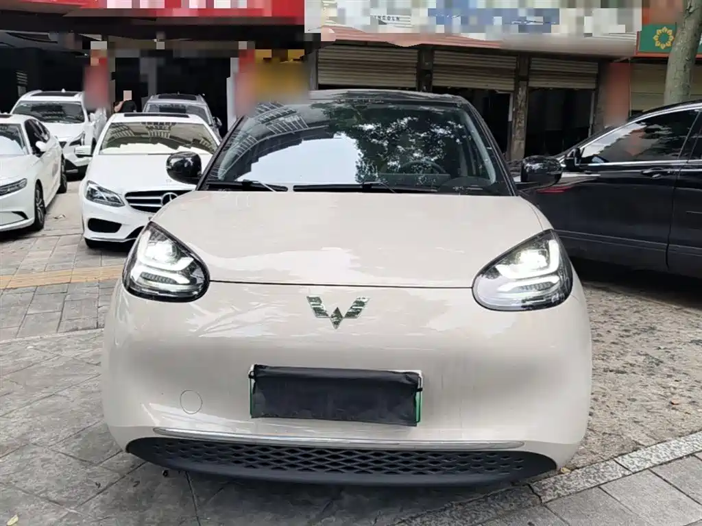 Wuling Binguo 2024 333km