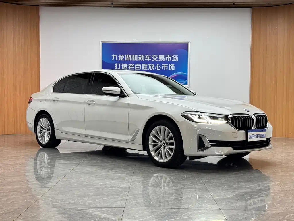 BMW 5 Series — миниатюра 4