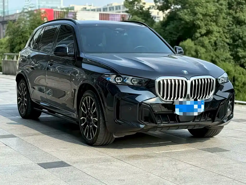 BMW X5 — миниатюра 3
