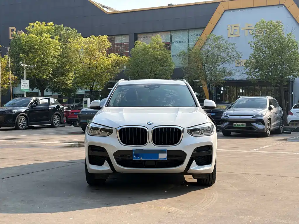 BMW X3 — миниатюра 2