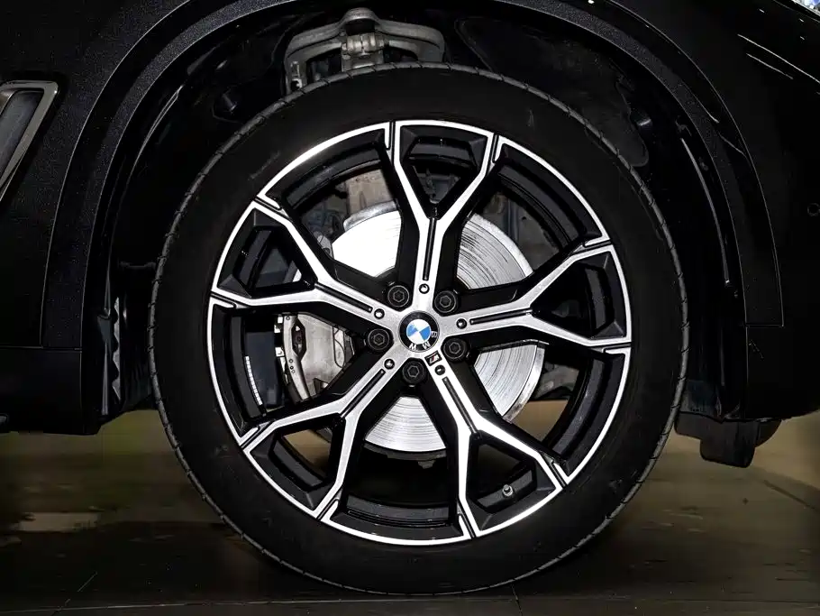 BMW X5 — миниатюра 11