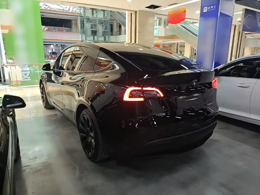 Tesla Model Y — миниатюра 5