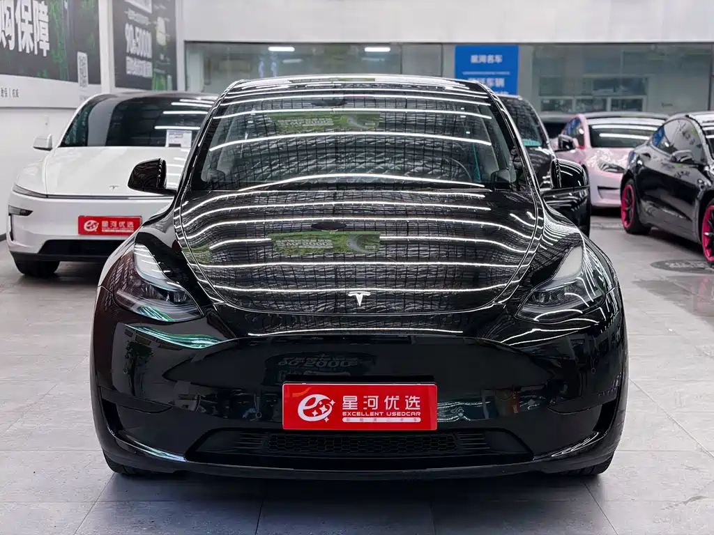 Tesla Model Y — миниатюра 2