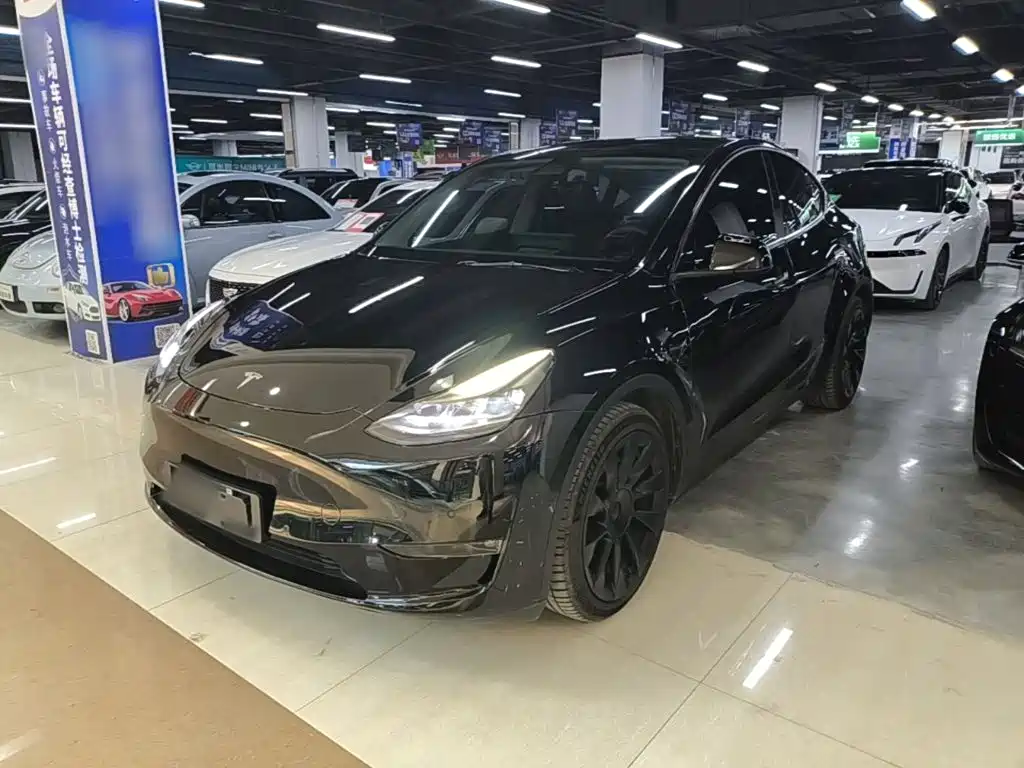 Tesla Model Y — миниатюра 2