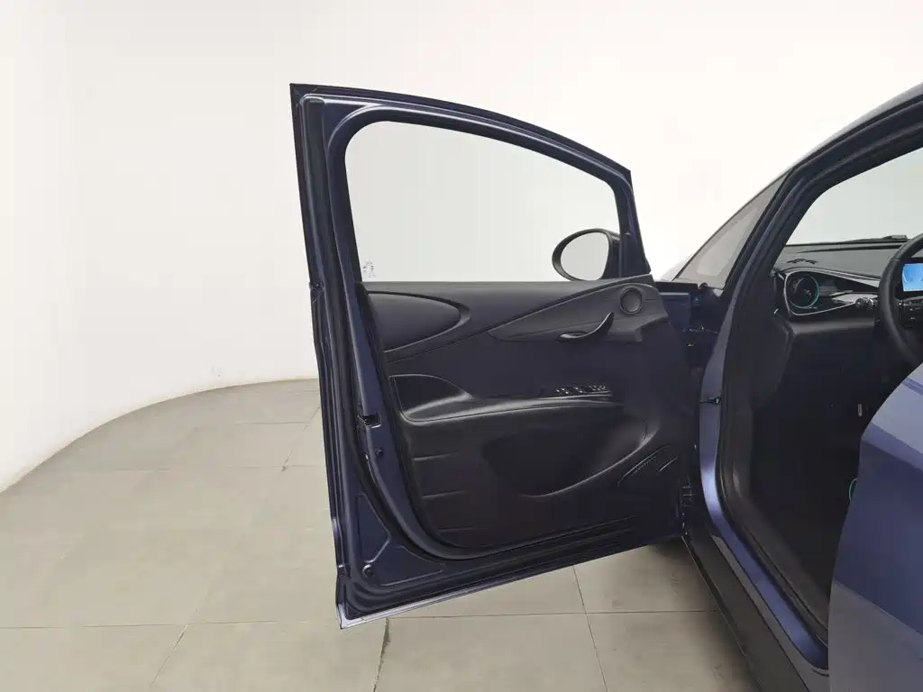 BYD Dolphin — миниатюра 8