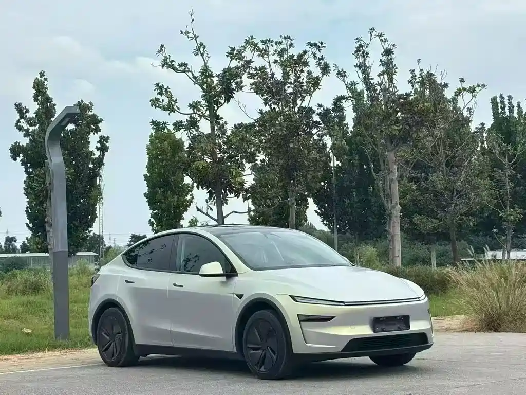 Tesla Model Y — миниатюра 3