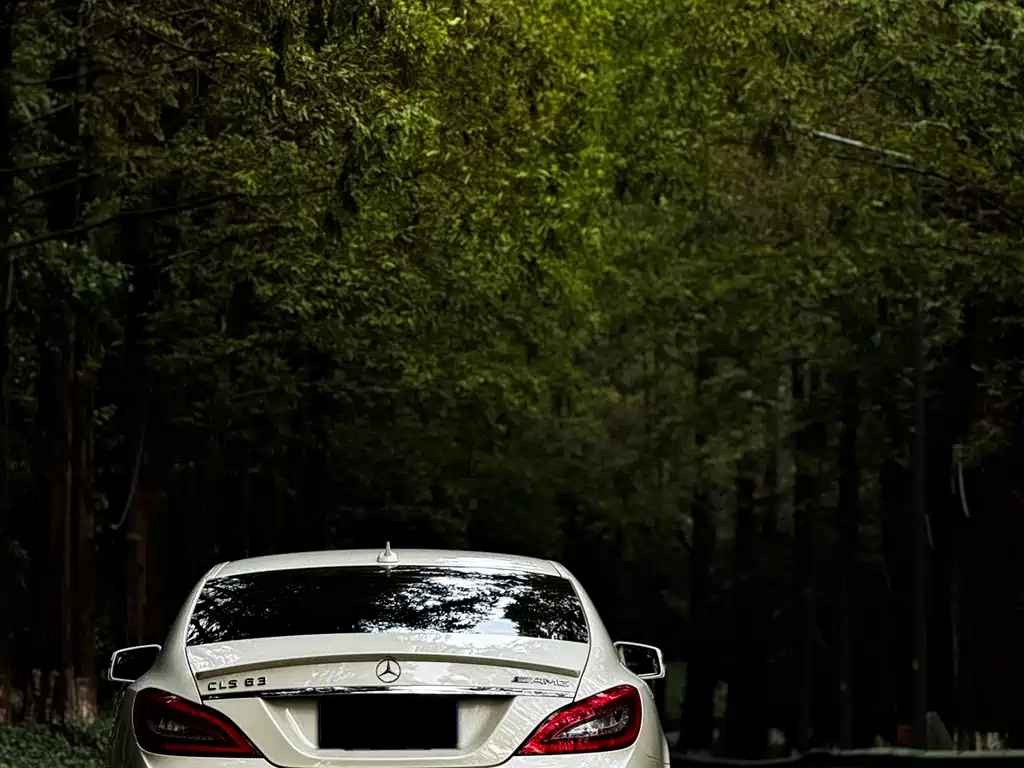 Mercedes-Benz CLS AMG — миниатюра 3