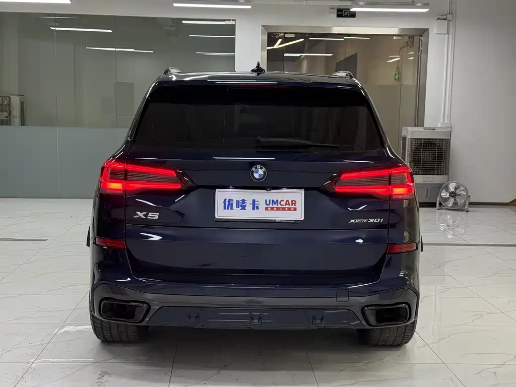 BMW X5 (Import) — миниатюра 5