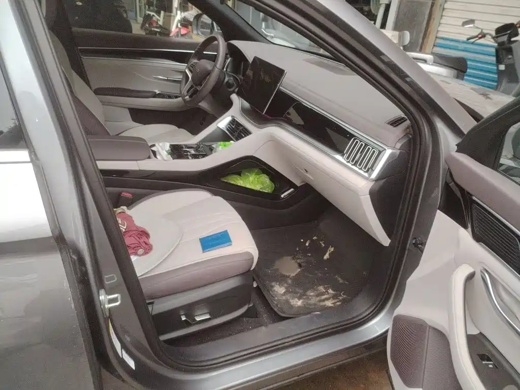 BYD PLUS New Energy — миниатюра 18