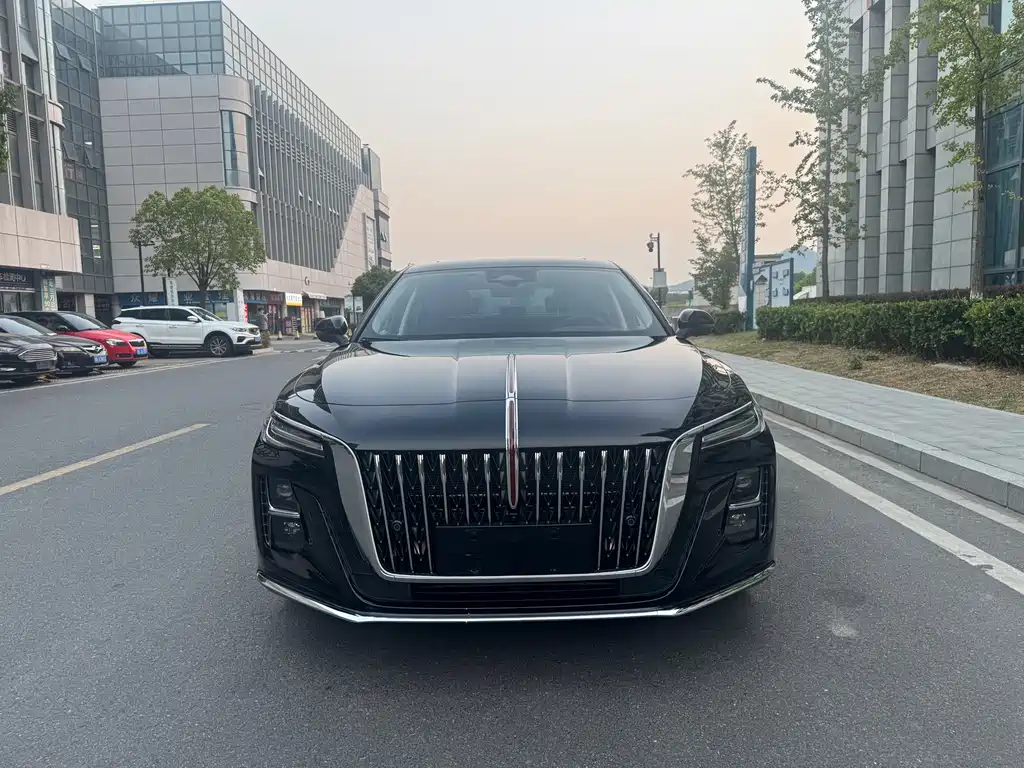 Hongqi Hongqi H5 — миниатюра 3