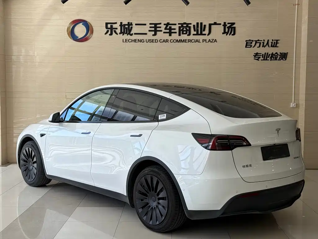 Tesla Model Y — миниатюра 3
