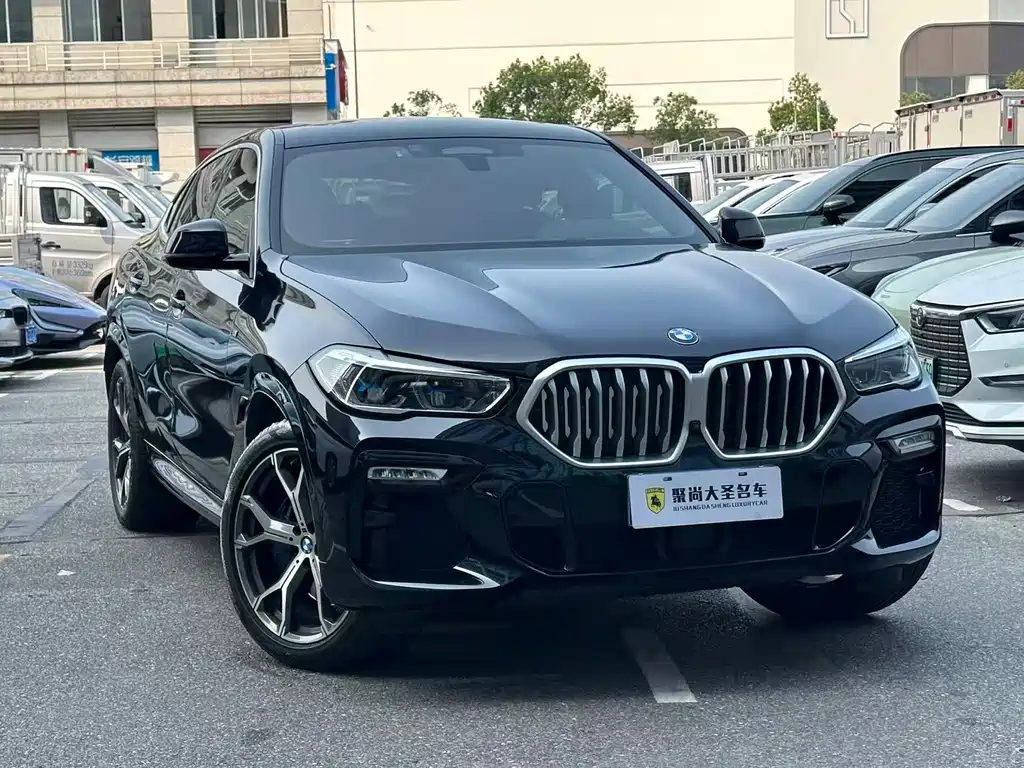 BMW X6 — миниатюра 3