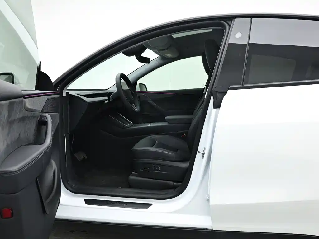 Tesla Model Y — миниатюра 9