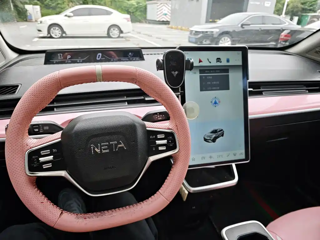 Neta Neta V — миниатюра 20