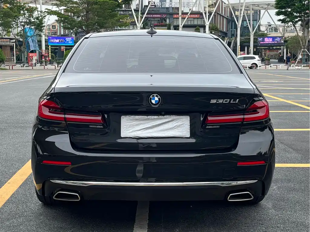 BMW 5 Series 5 2021 530Li Premium Luxury
