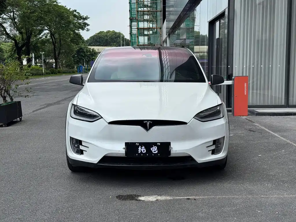 Tesla Model X — миниатюра 2