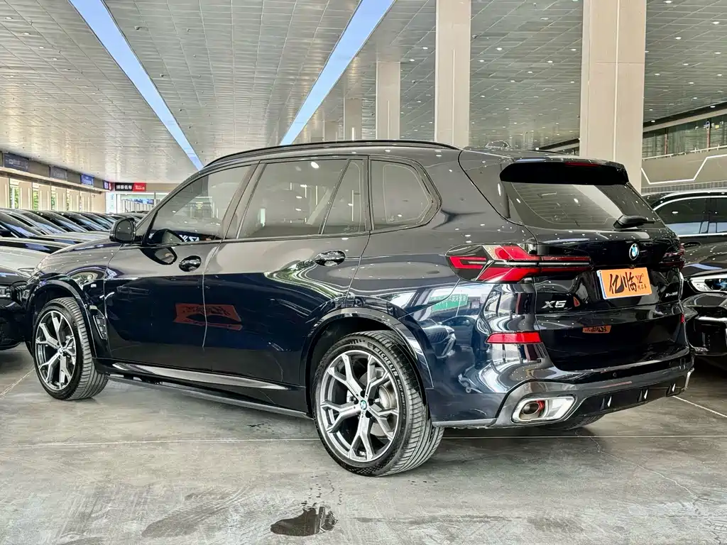 BMW X5 — миниатюра 15