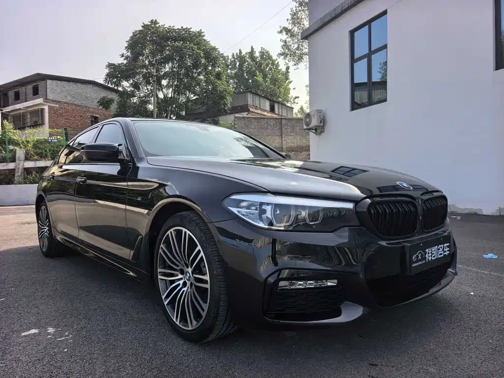 BMW 5 Series — миниатюра 3