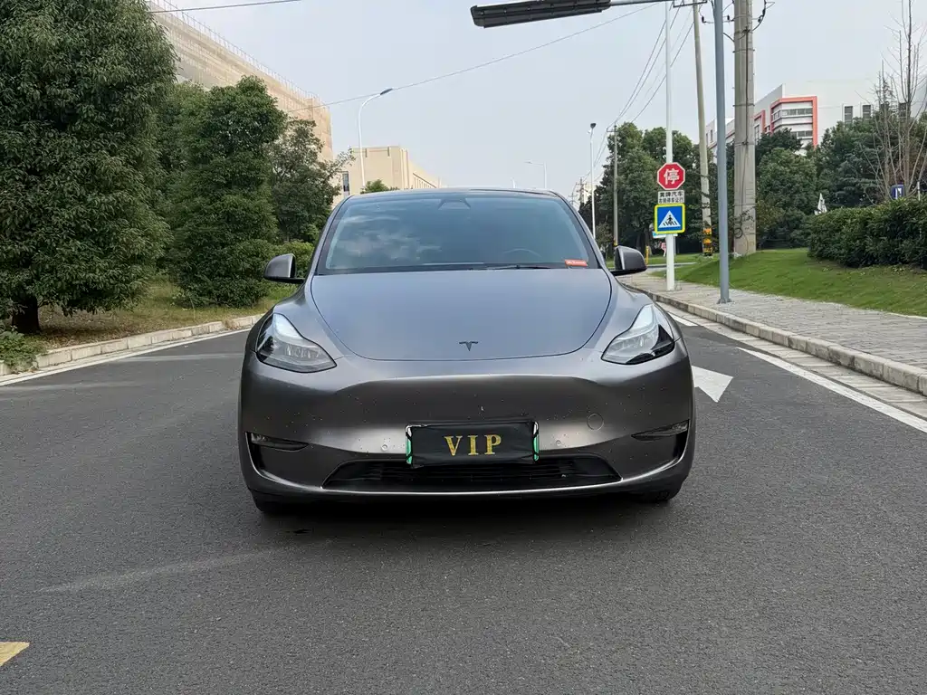 Tesla Model Y — миниатюра 2