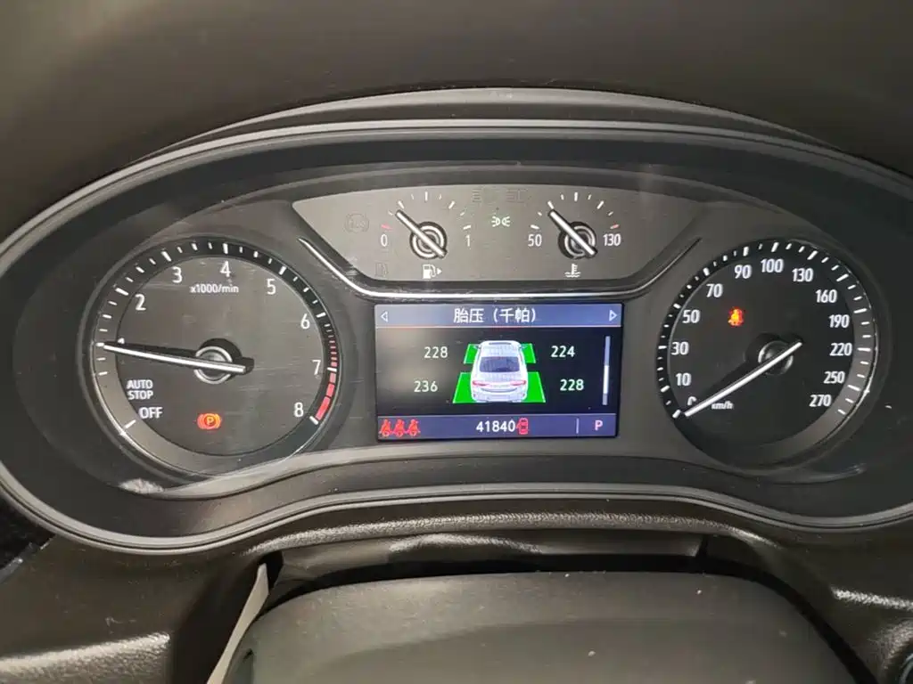 Buick Regal — миниатюра 12