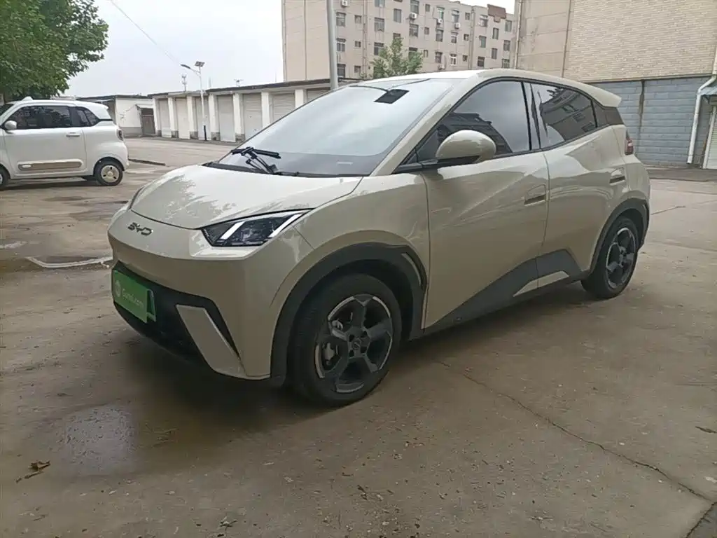Byd Seagull 2023