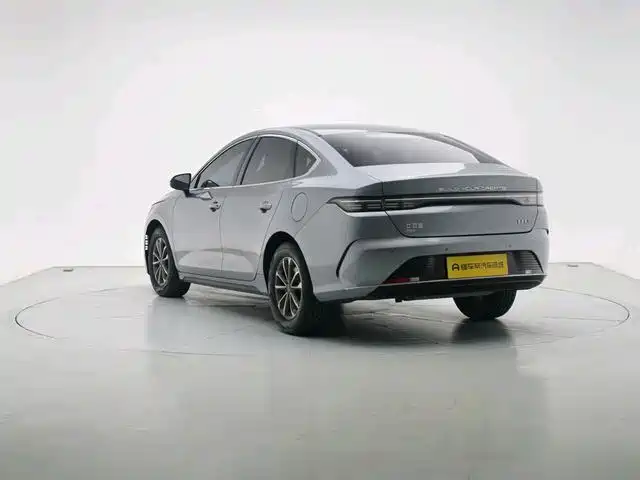 BYD Destroyer 05 2024 DM-i 55KM Luxury