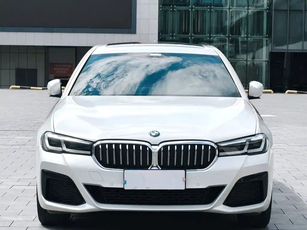 BMW 5 Series — миниатюра 2