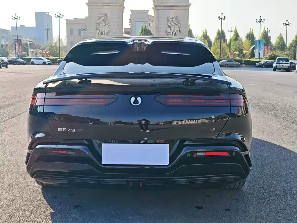 Denza Denza Z9GT — миниатюра 6