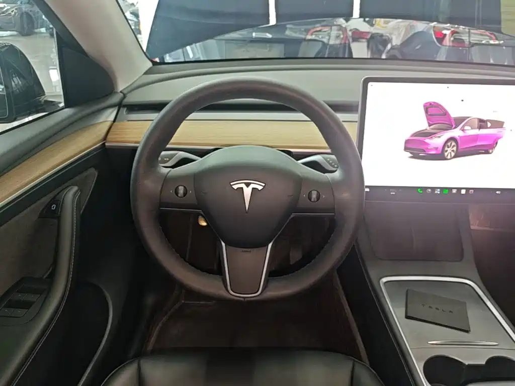 Tesla Model Y — миниатюра 11