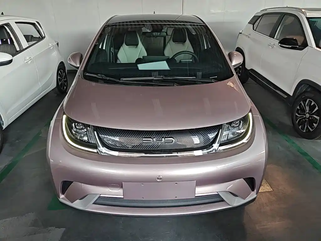 BYD Dolphin — миниатюра 3