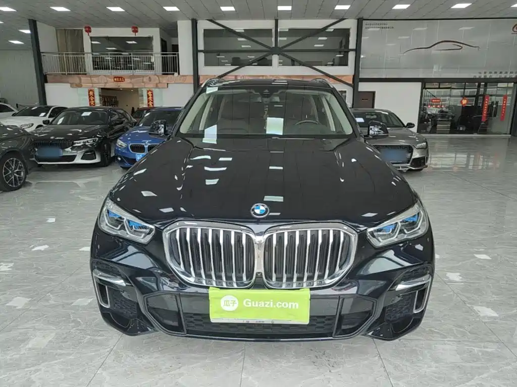 BMW X5 — миниатюра 3